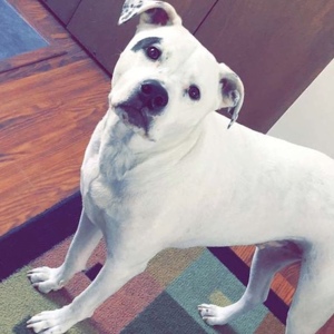 Brittany R. Routhier